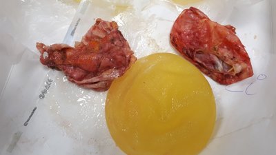 20190817_134703 (1).jpg